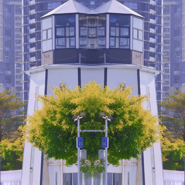 深圳海景公園 |燈塔圖書館|見山見海見自己