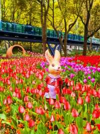 春天的徐家匯公園是彩色的！