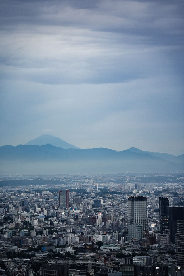 落日後的東京，就特別適合拍東京鐵塔