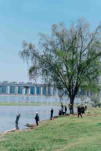 長沙露營，首先你得知道露營是啥，別慌不擇路