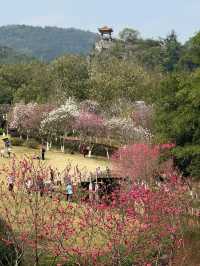 來柳州記得打卡龍潭公園｜小九寨溝名不虛傳