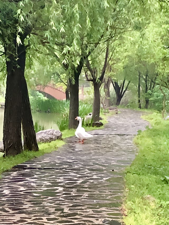 隨州大洪山風景區——珞湖