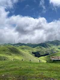 不需要去北方，湖南也能看到高山草甸！
