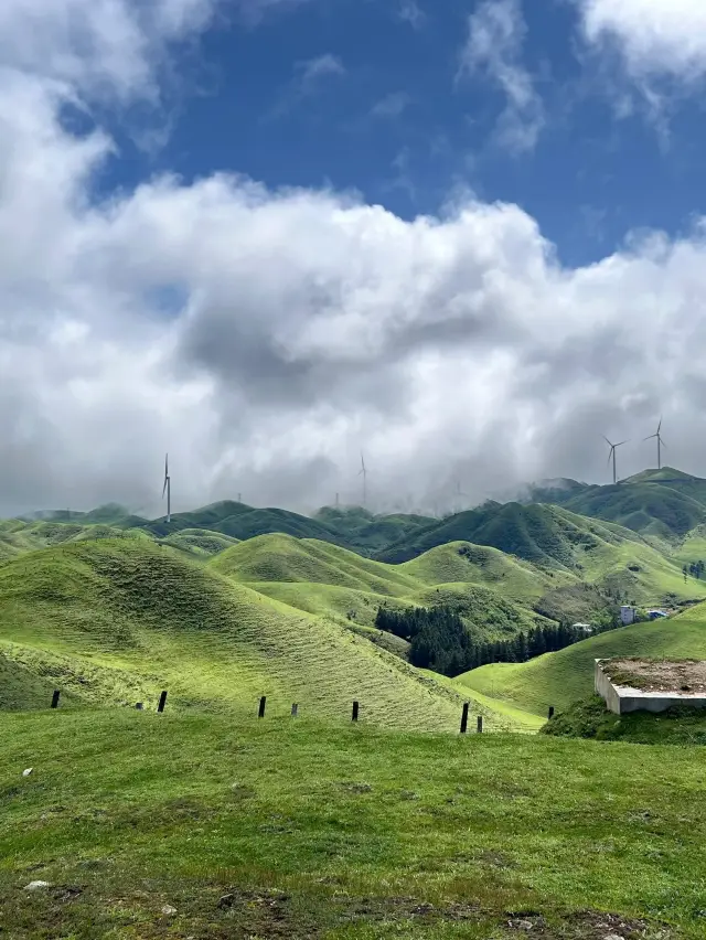 You don't need to go to the north to see high mountain meadows in Hunan!