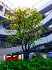 「綠之丘」的建築裝帧之美