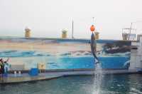 秦皇島新澳海底世界
