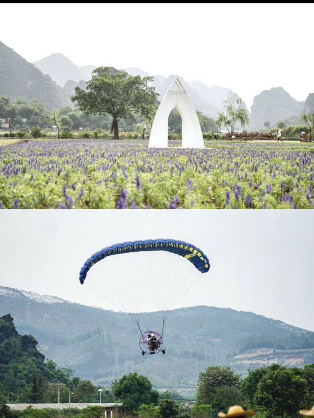 廣東周邊好去處！敲美夢幻薰衣草