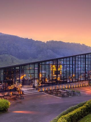 🌄🛏️ Nuwara Eliya's Golden Ridge: A Cozy Retreat 🍃
