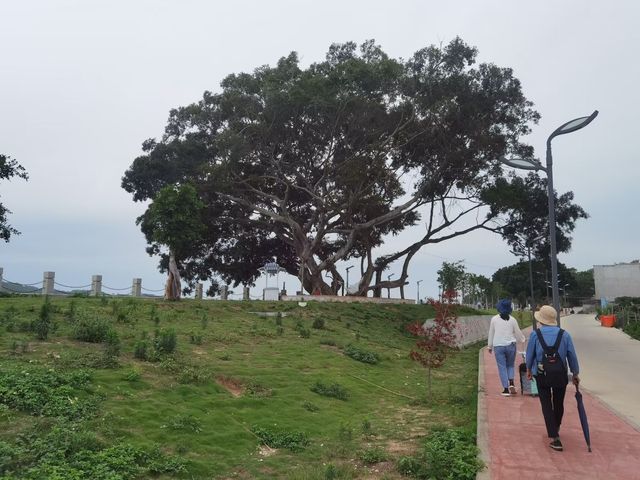遙遠不遠只要心之所向第九篇～～訊洲島