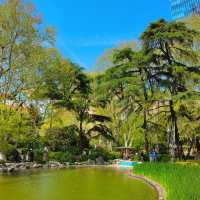 靜安公園～心靜之地