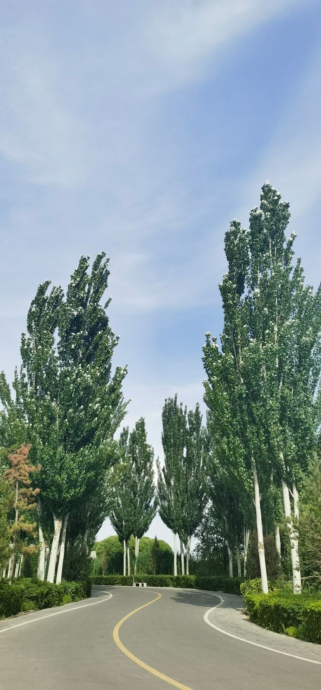 張掖國家濕地公園
