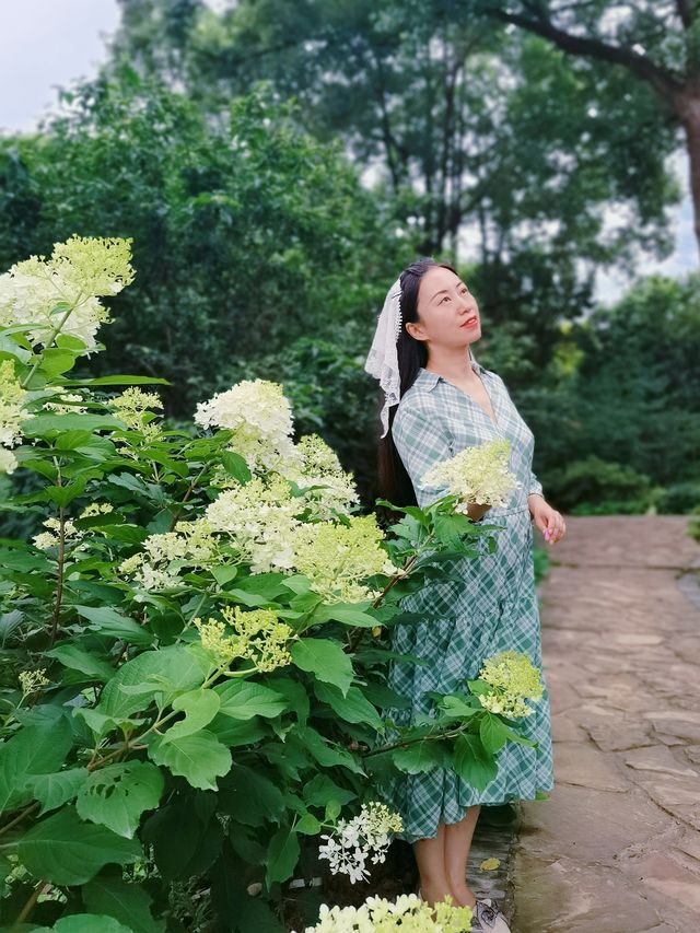 在成都！！鮮花織就的小徑