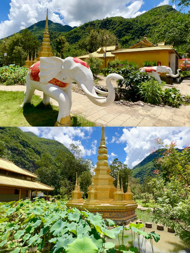 雲南夏日遊，芒見，再忙也要相見