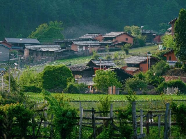 被嚴重遺忘的雲南古村,生活著白狼後裔~ 被嚴重遺忘的雲南古村,生活著白狼後裔~