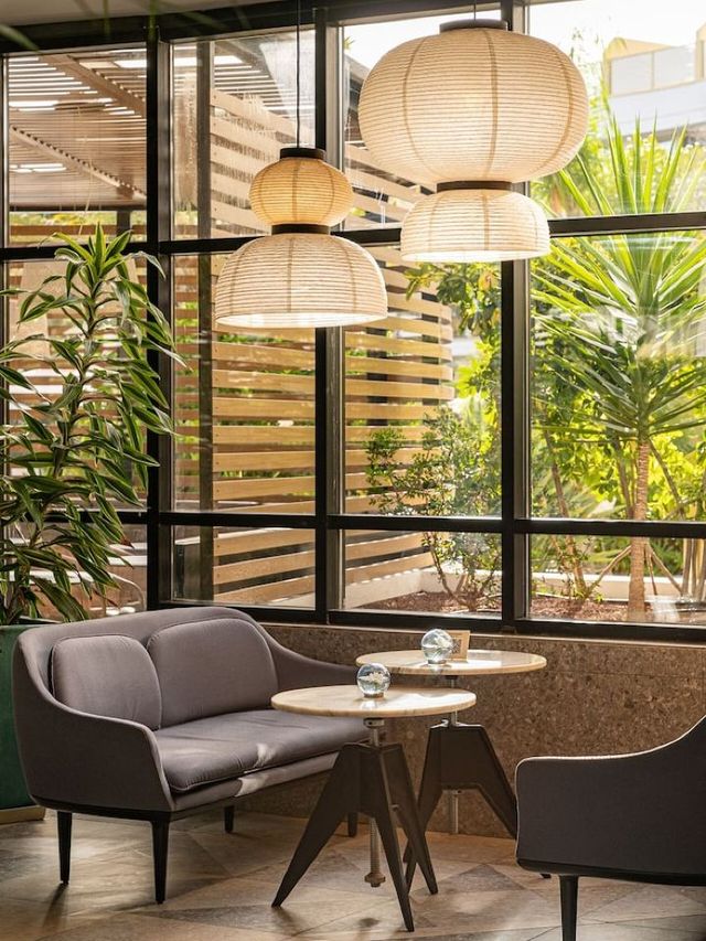 🌟 Canary Islands' Cozy Comforts at Sir Anthony 🌴✨