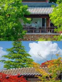 江蘇園博園｜待了一整天根本不想走（附攻略）