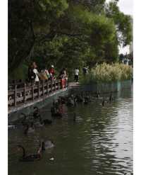 這篇廈門公園Parkwalk攻略快藏好。