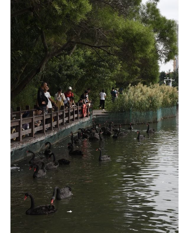這篇廈門公園Parkwalk攻略快藏好。