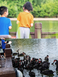 去廈門帶娃這樣住！躺平式看海！不費腿！