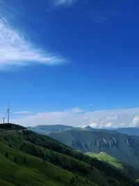 【逃離喧囂，邂逅雲端秘境】蔚縣茶山，我的靈魂棲息
