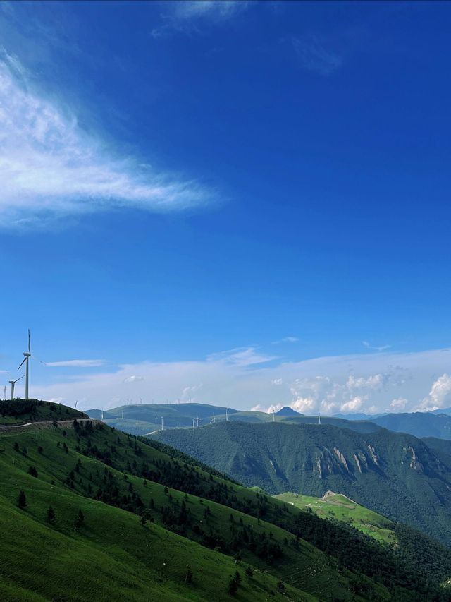 【逃離喧囂，邂逅雲端秘境】蔚縣茶山，我的靈魂棲息