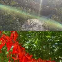 溜達好去處～淮北相山打卡