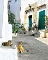Ostuni