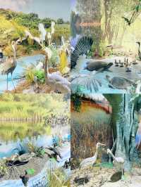 漯河-▻神州鳥園
