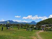 拉市海茶馬古道