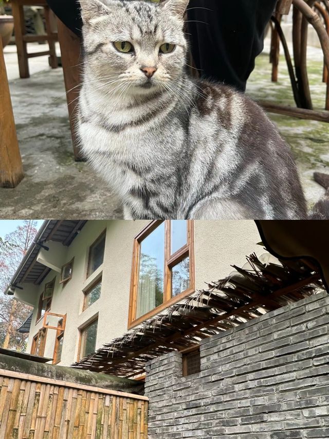 峨眉山!報國寺!私湯溫泉民宿好住哭了