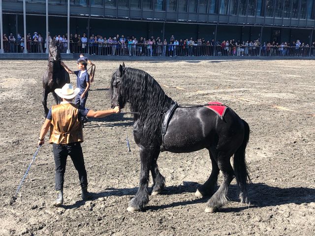 烏魯木齊必去攻略｜汗血寶馬地基