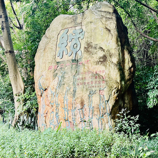 深圳園博園一日遊