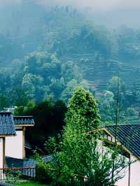 草言殳舍是一個體驗茶文化及欣賞自然景致的理想地點。