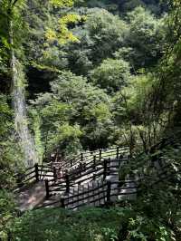 廣元曾家山——天然氧吧，享有溶洞王國和石林洞鄉之美譽。