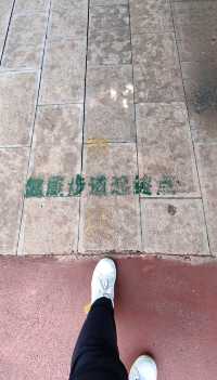 玉溪避暑之選：寧州公園。
