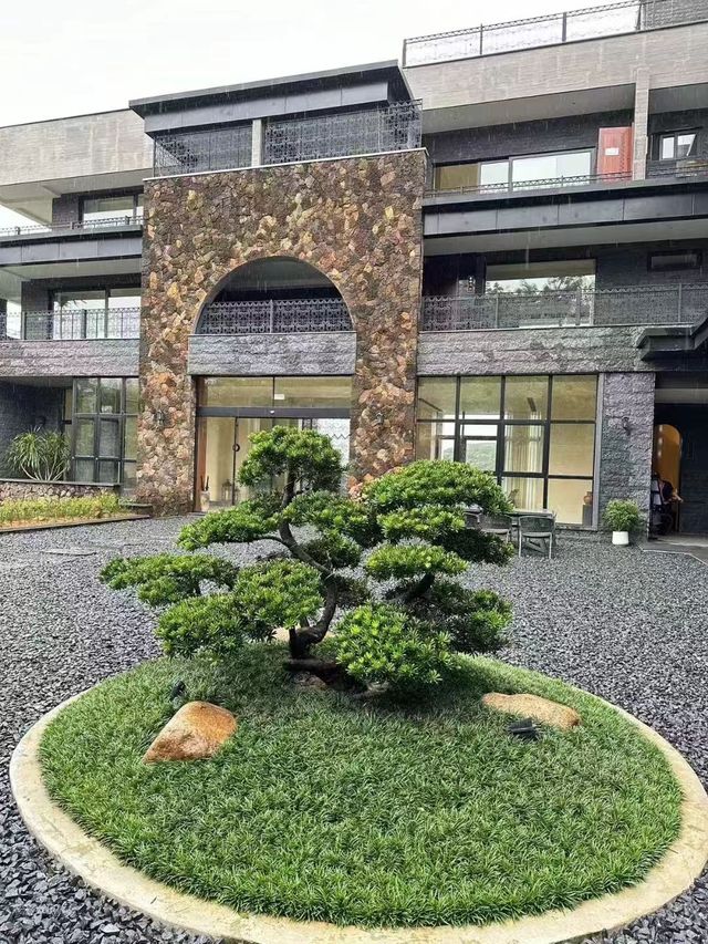 七仙苗山書雁民宿。