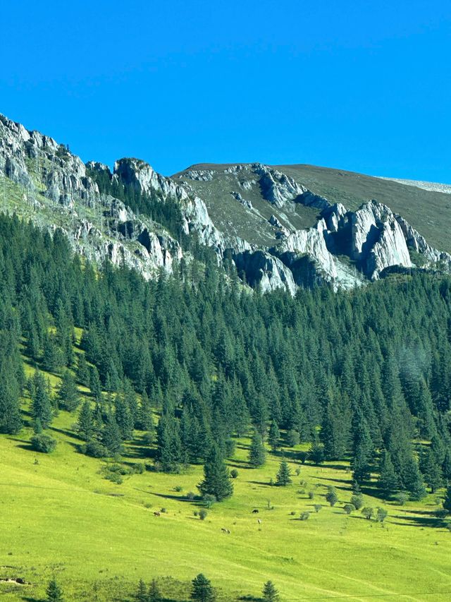 格聶神山之旅：遺憾與期待並存。