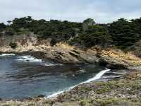 Point Lobos 州保護區。