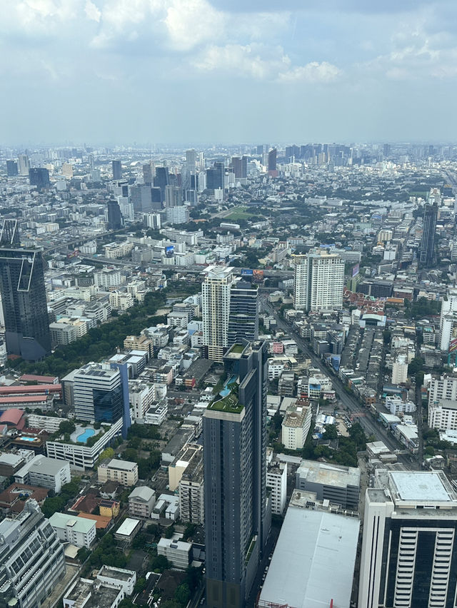A Birds Eye view of Bangkok, a sprawling metropolis 