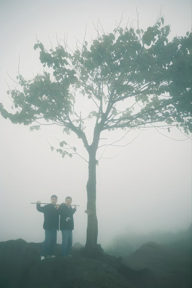 黑竹溝。