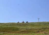 國慶錯峰遊皖北，小眾路線驚喜連連。