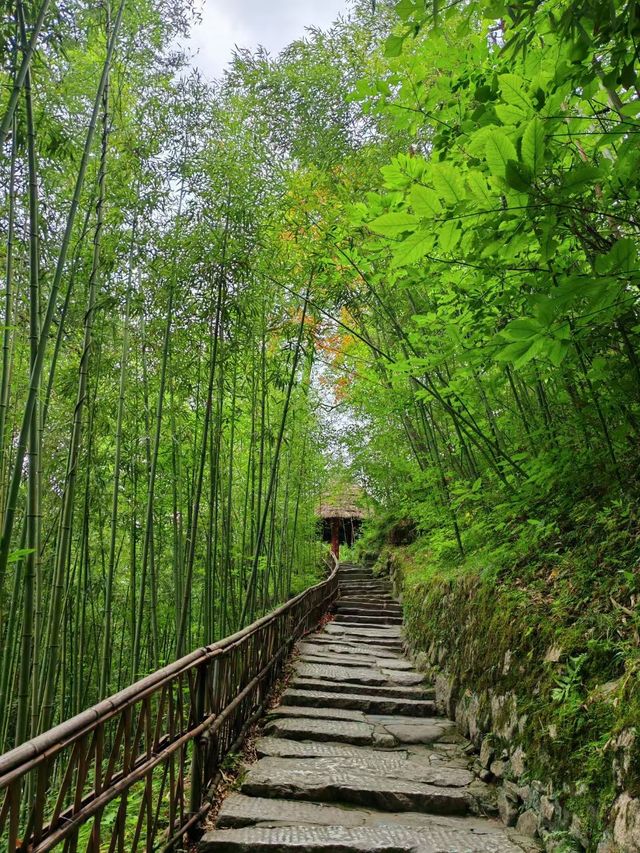 功成身退，一生逍遙。