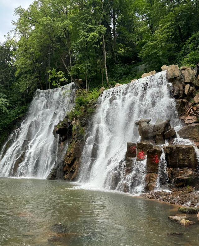 沒錯，就是喜歡鴛鴦峰，富養森林，一定要多做深呼吸！！。