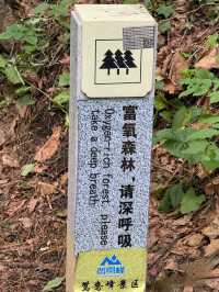 沒錯，就是喜歡鴛鴦峰，富養森林，一定要多做深呼吸！！。