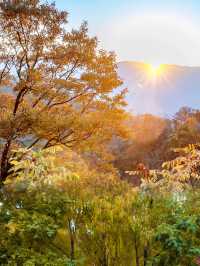 湖北隨州大洪山景區 | 秋日親子遊好去處。