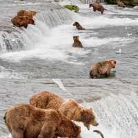 Travel to Alaska such an amazing trip