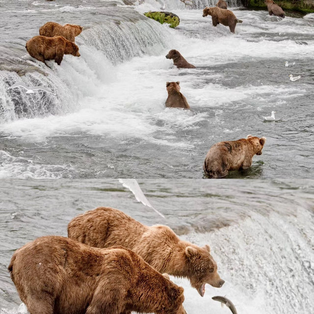 Travel to Alaska such an amazing trip
