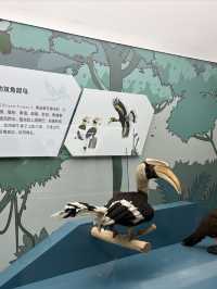 武漢自然博物館——又找到值得一去的遛娃聖地了。