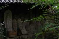 叡山電鐵「瑠璃光院」的途中可以去|蓮華寺。