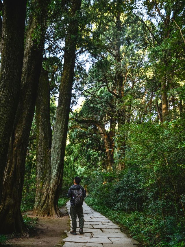 這一面，等待了千年的光景。